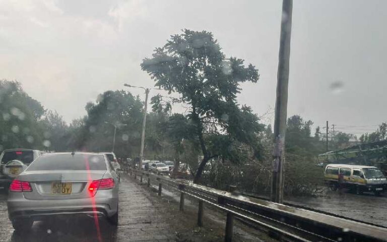 A fallen tree blocking one side of Mbagathi Way.