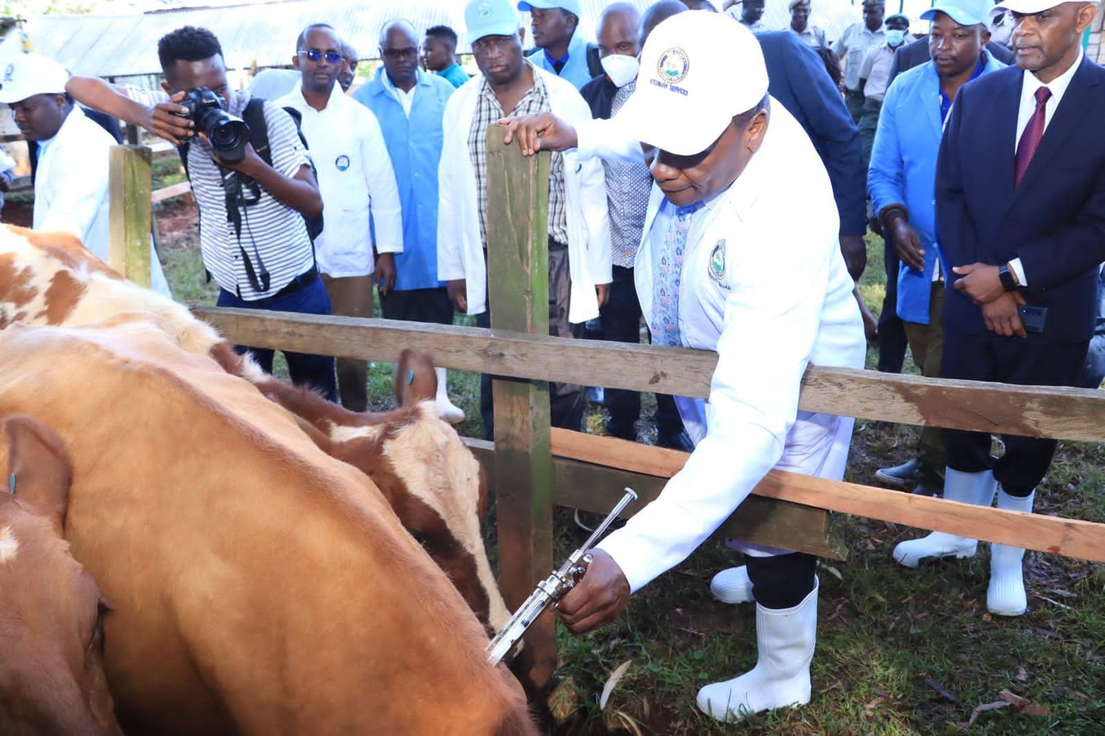 Kisii county releases anti-anthrax vaccine.