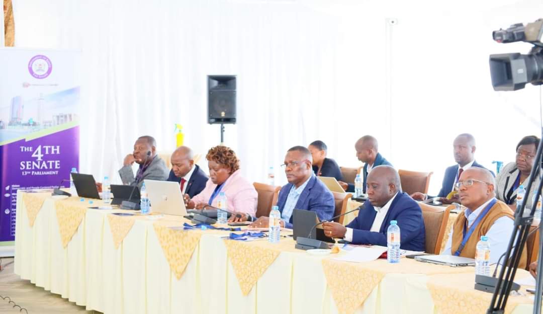 SENATE ICT COMMITTEE MEETS WITH THE MINISTRY OF ICT AND DIGITAL ECONOMY