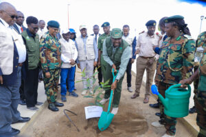 Tree Planting Greening Konza