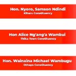 Alice Ng’ang’a Voted among Best Performing MPs in the Central Kenya Region