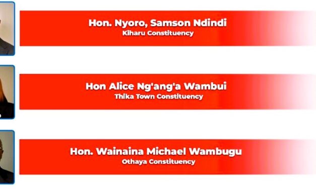 Alice Ng’ang’a Voted among Best Performing MPs in the Central Kenya Region